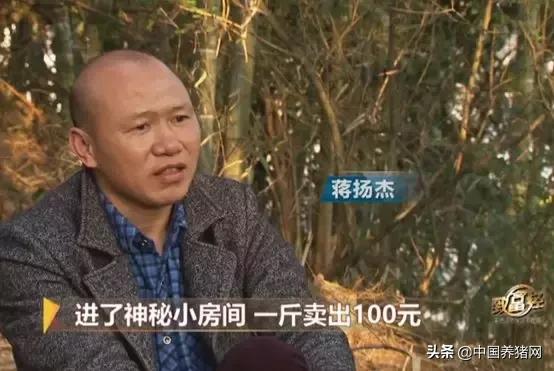 竹鼠关进小黑屋怎么样,竹鼠养殖关进小黑屋是什么效果