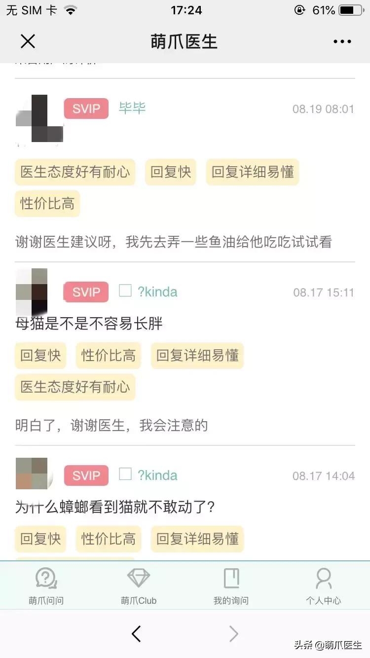 足不出户就能在线治猫病,24小时猫病在线咨询