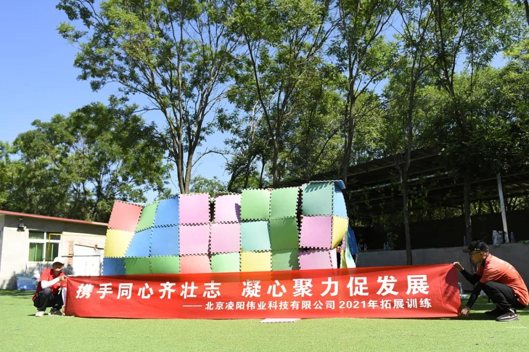 凌阳科技有限公司,凌阳科技单片机