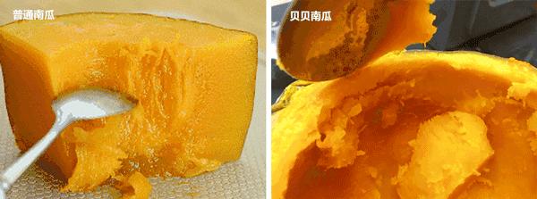 徐州正品冰淇淋畅销全国,徐州乐园冰淇淋