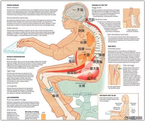 跑步突然腰背疼是什么原因,跑步出现腰酸痛怎么缓解