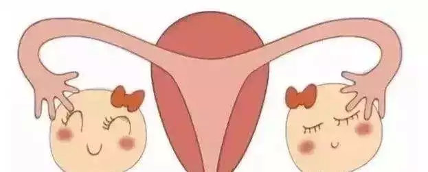 生育力保存的意义,生育力保存