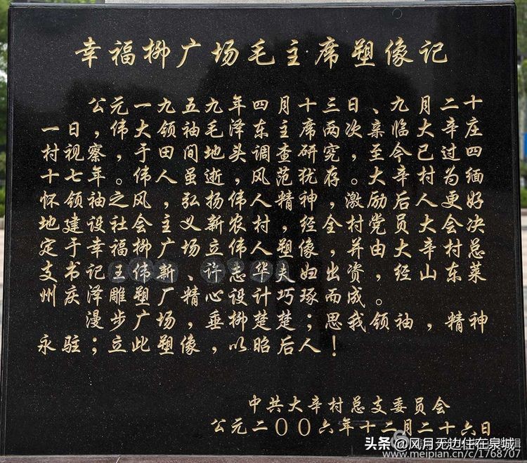 济南的法国梧桐,济南梧桐树美景