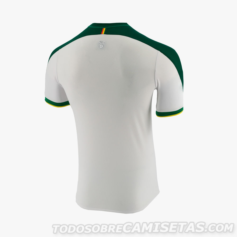 2019美洲杯国家队巴西球衣,2019年美洲杯参赛国家