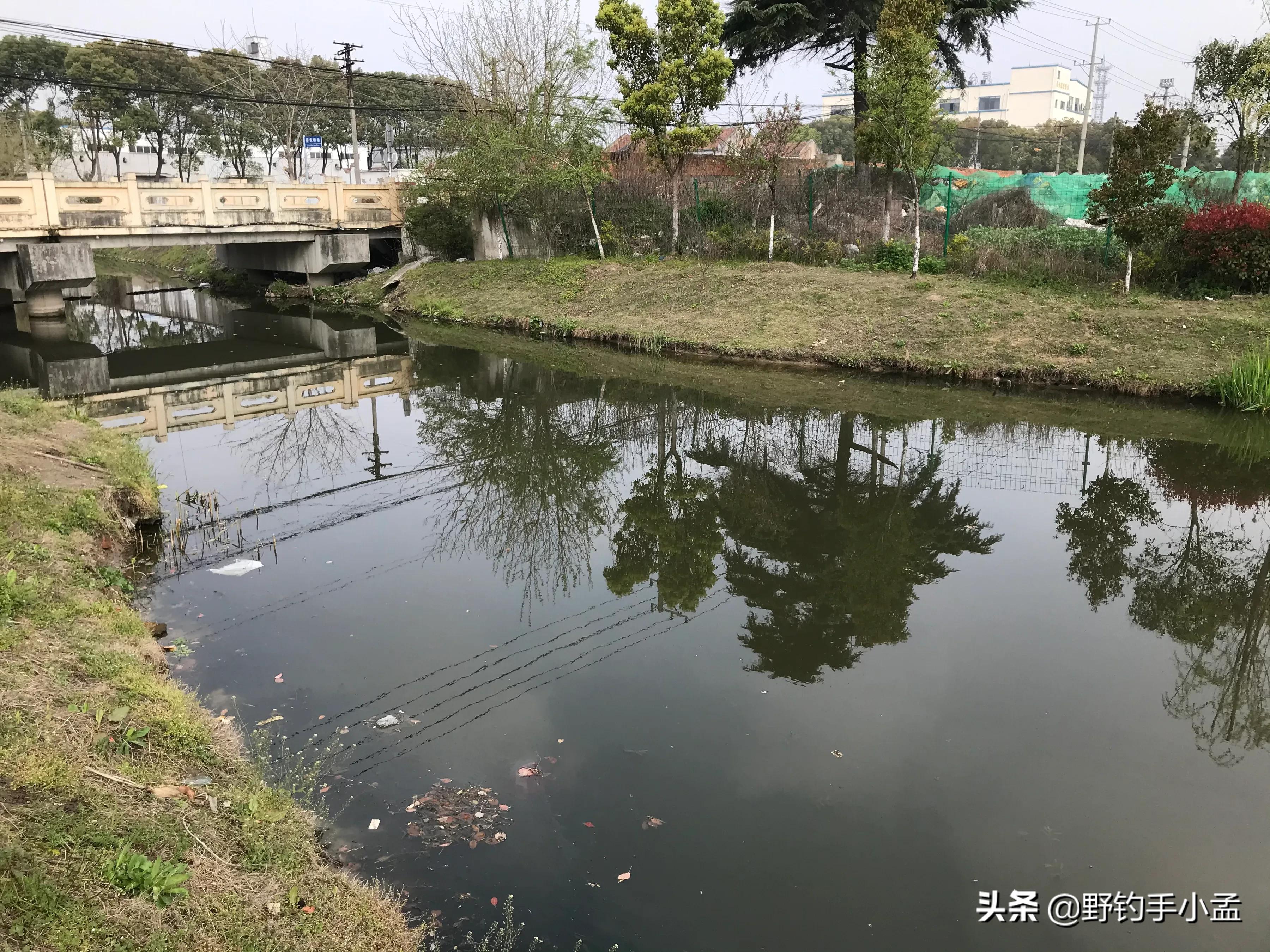 遇到鱼上浮该怎么钓,春季鲫鱼上浮不吃钩怎么钓