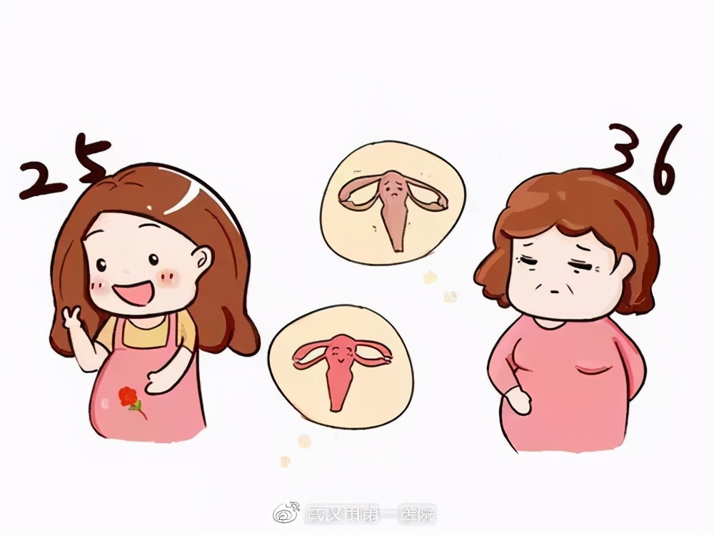 34岁卵巢会走下坡路吗,30岁卵巢会不会早衰