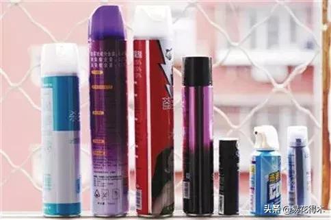 盆栽小黑飞虫怎么治,盆栽有小飞虫怎么处理