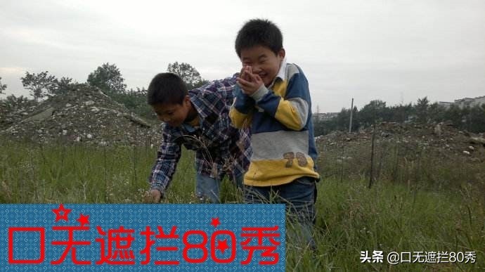 80后90后的昆虫和虫子童年回忆,80后的昆虫带来的快乐