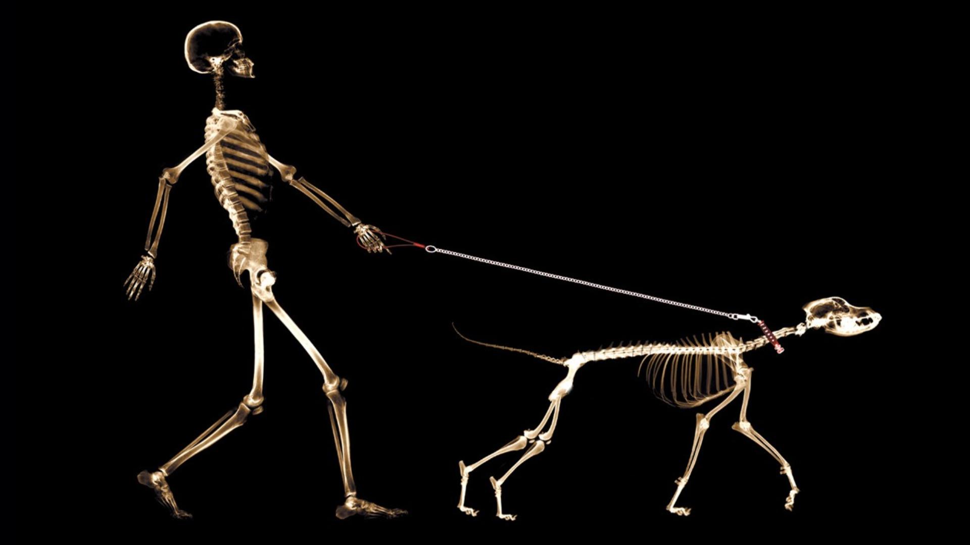 超高清电脑ipad桌面励志壁纸,ipad壁纸10.9寸横屏高清护眼壁纸