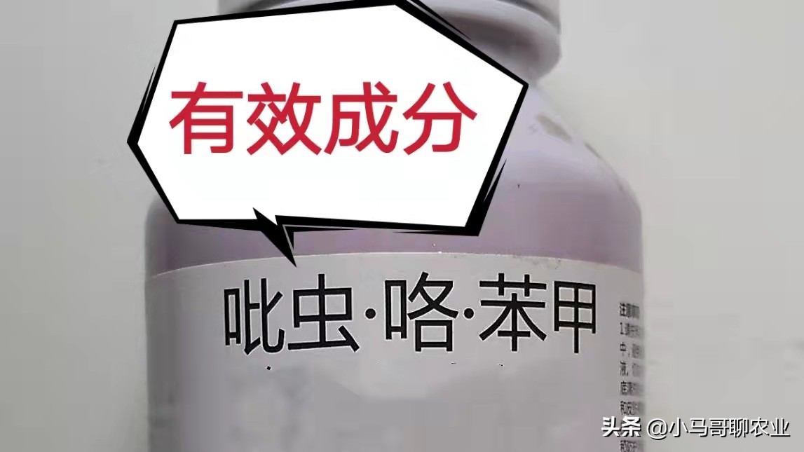 农民购买种子化肥注意事项,农民购买种子应注意问题