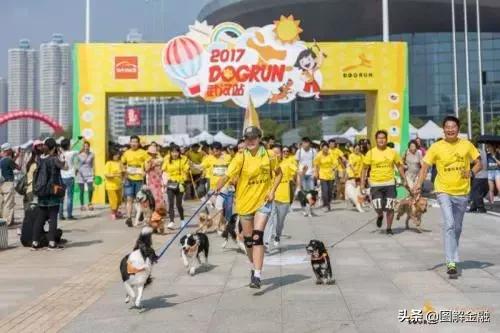 举报宠物店暴利,开宠物店会血本无归吗