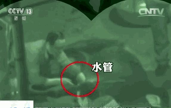 给活牛注水致死牛肉能吃吗,活牛注水后的牛肉