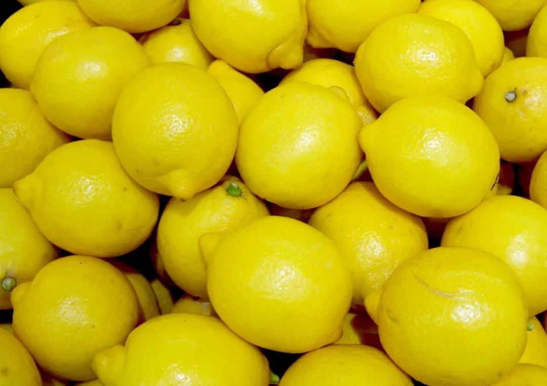 椋庣墿涔嬮兘,椋庣墿鍥涘窛