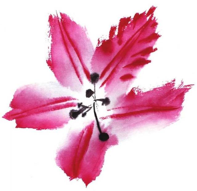 花卉国画教学视频,花卉画法教程中国画