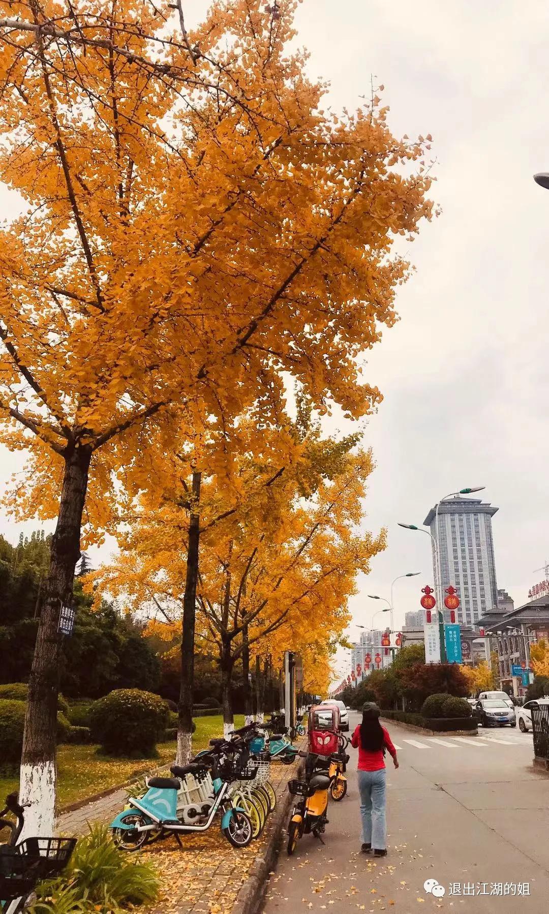 鏃呭眳鐙眳,鏃呭眳缁撲即鍚岃寮婄