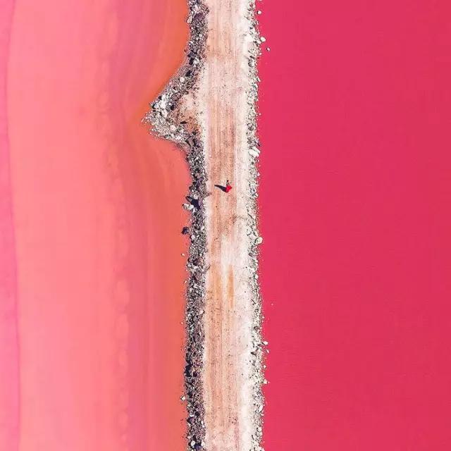 100张惊人奇怪照片,100张绝对惊人的照片