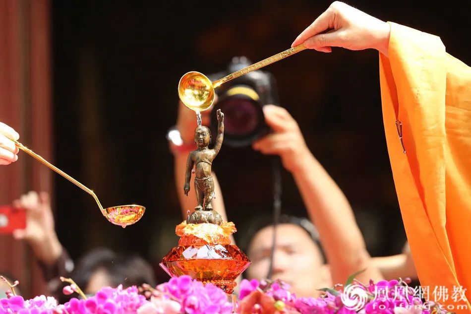 佛法怎么解决这次疫情,疫情期间如何欢度佛诞节