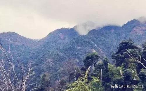 如何介绍自己的家乡于都,介绍自己的家乡于都