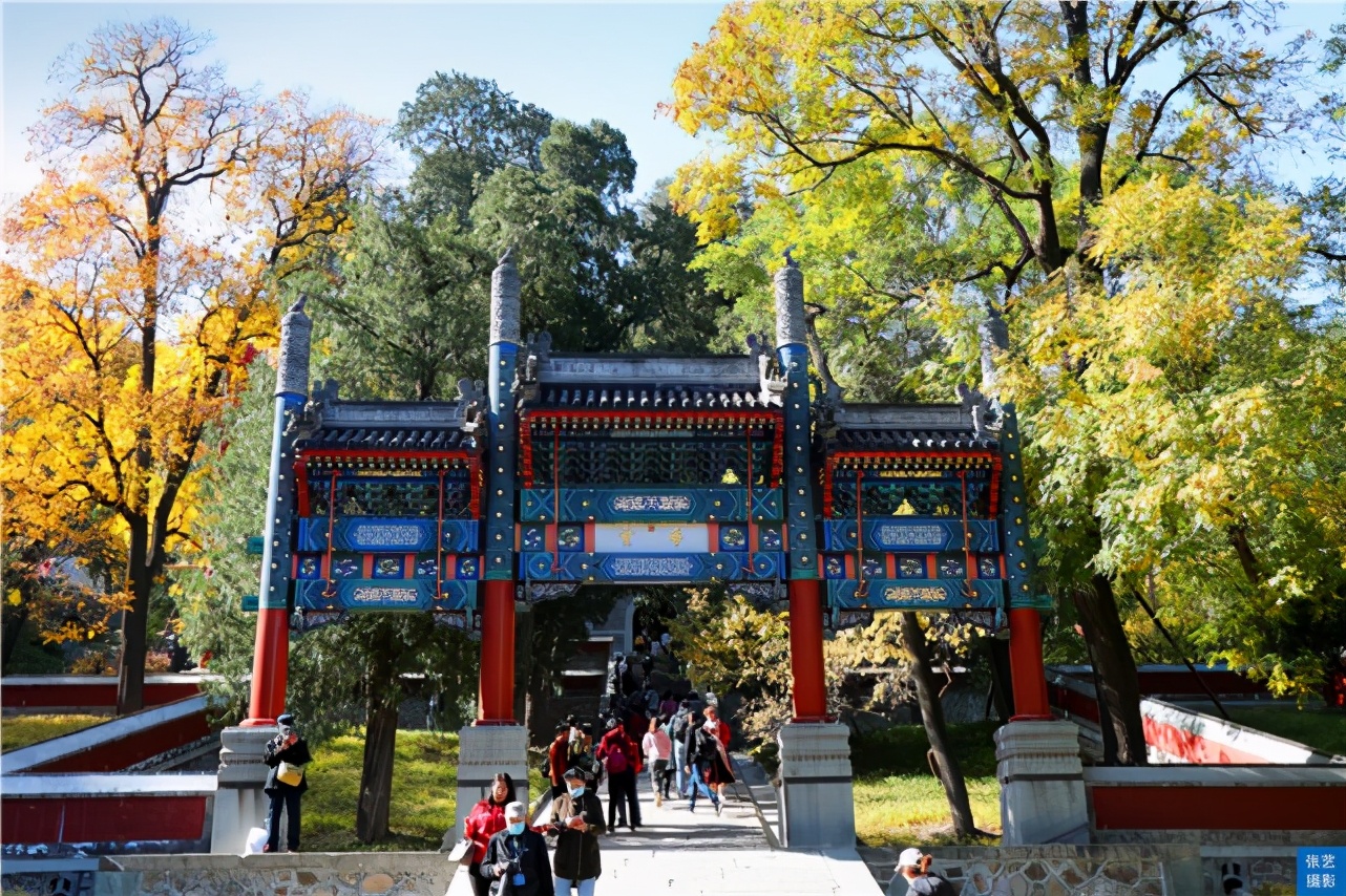 北京香山红叶林观看最佳月份,北京香山红叶最佳观赏期是在几月
