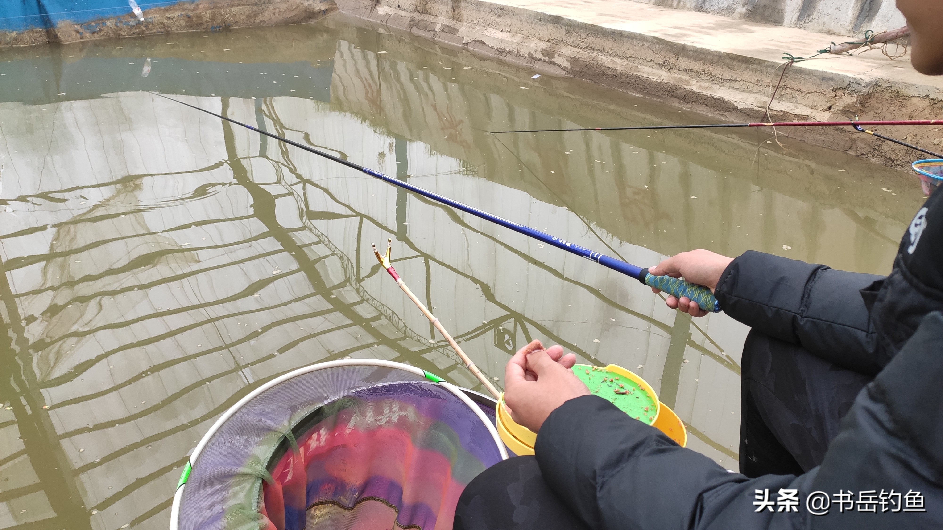 黑坑的鱼都怎么处理,黑坑鱼病防治