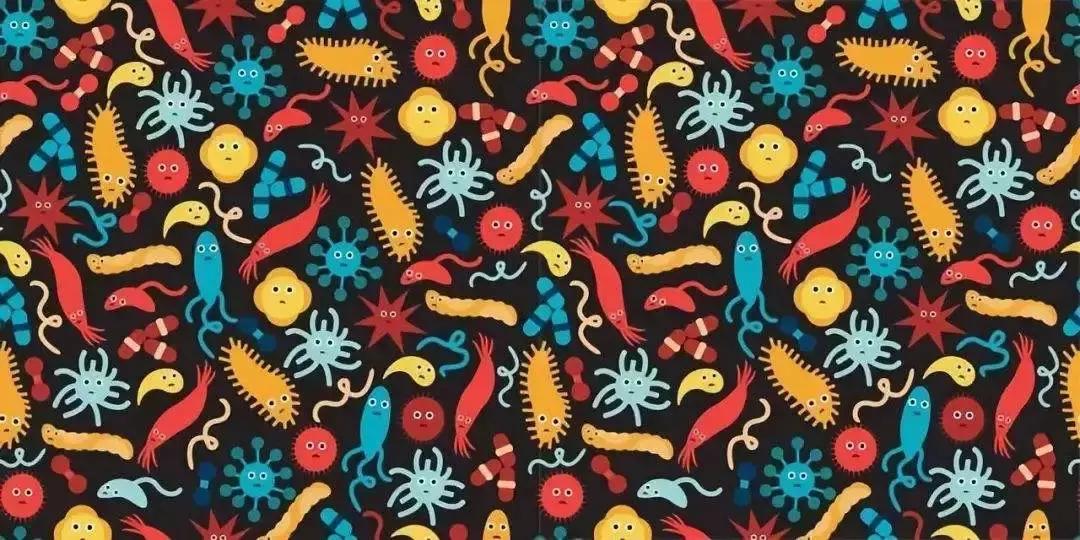 肠道菌群对癌症的影响,肠道菌群与癌症的最新研究