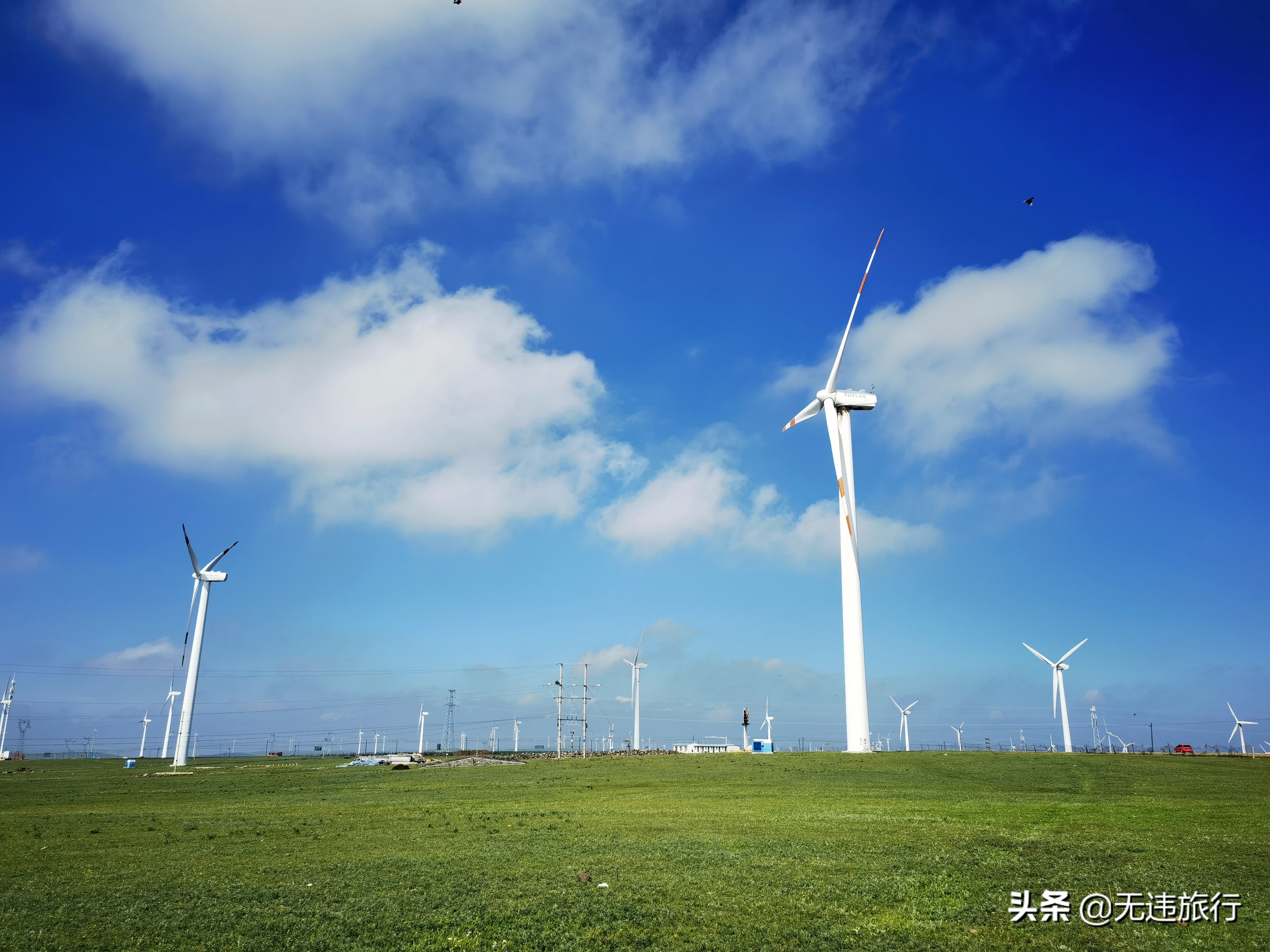 辉腾锡勒草原黄花沟游玩时长,辉腾锡勒草原黄花沟见闻