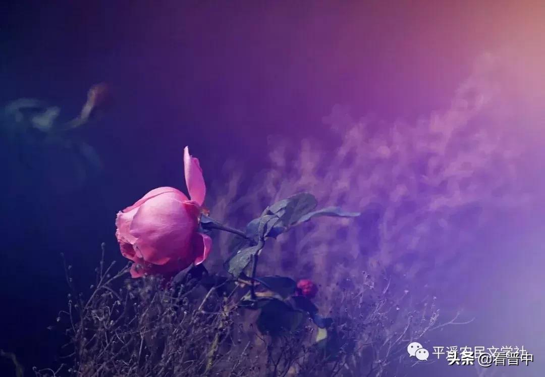 晋中婚宴,晋中旅行图文日记