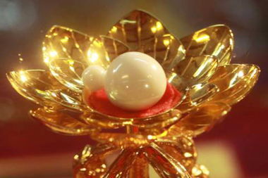 完美世界中的奇珍宝物-合道种子篇,你知道有哪些吗?