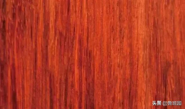 只有这七类木材才是真正的花梨木，教你火眼金睛“识花辨梨”！