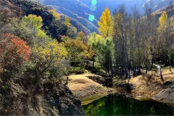 北京这38个森林公园您先收藏了!定个小目标,有空儿玩个遍!