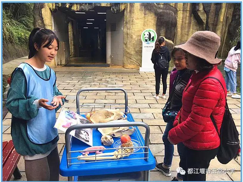 四川省都江堰市玉堂小学,都江堰市玉堂小学四年级1班