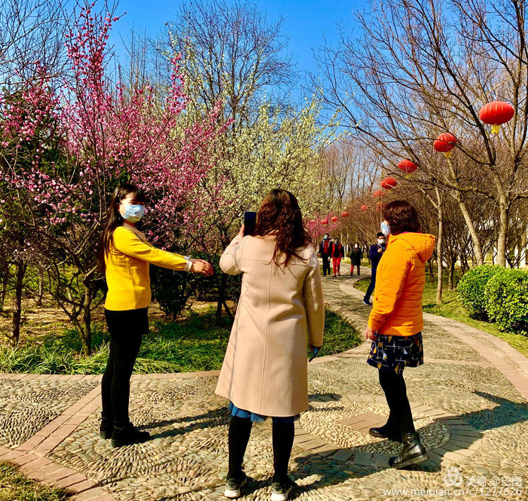 100张洛阳美女照片,100张洛阳女人图片
