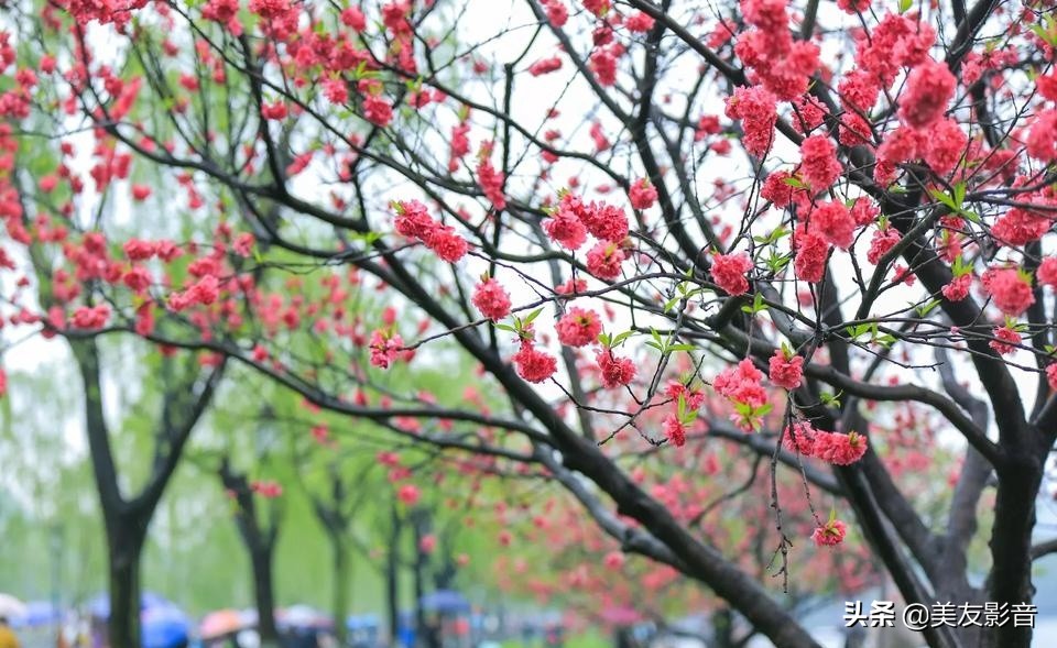 语文拓展100个容易被误用的成语,100个最常被误用的成语行测必备