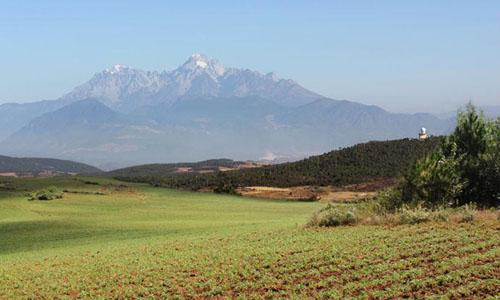 想要知道玛咖的效果，一定要知道正确的吃法！