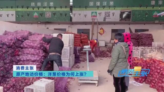 今日全国洋葱最新价格行情新闻,进口洋葱价格表