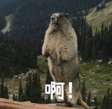 小朋友手指被卡消防救援,消防救援小孩手指卡在门上的小孔