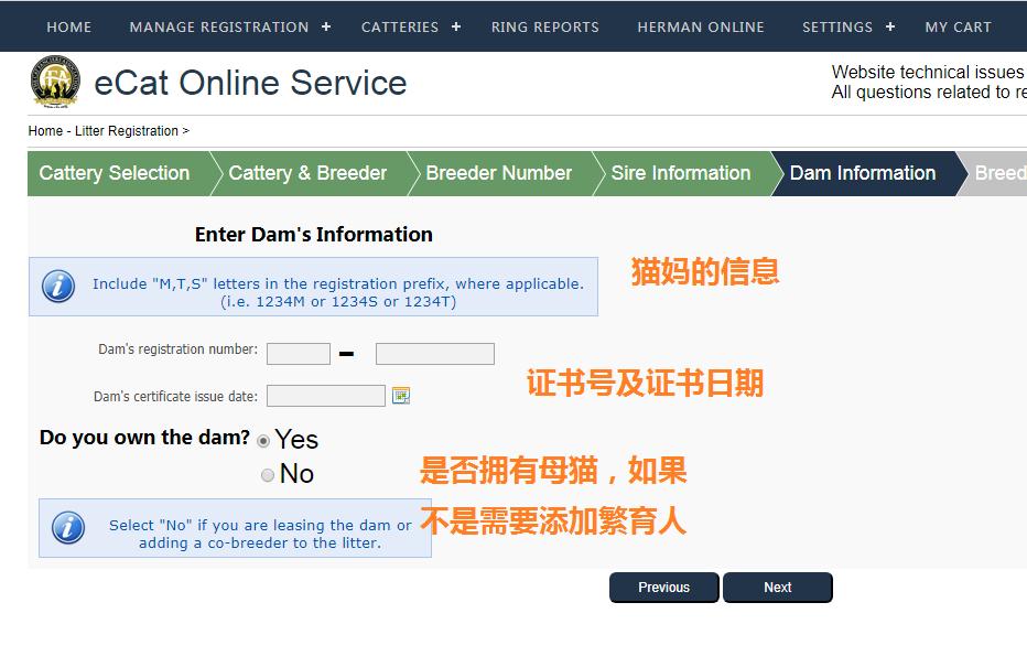 花重金买猫,花高价买的猫