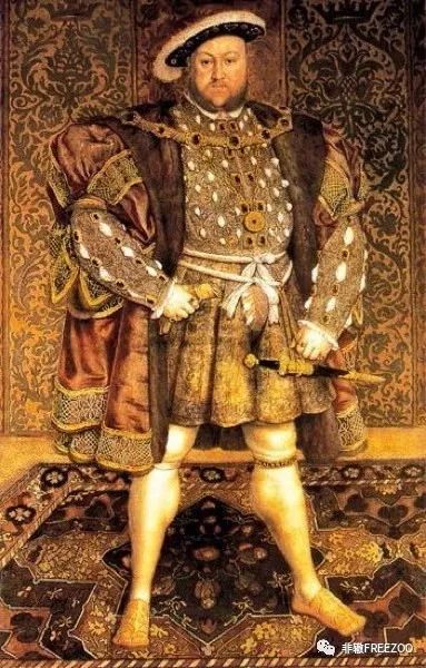 FREEZOO非辙丨袜子取决于你一个人的品味