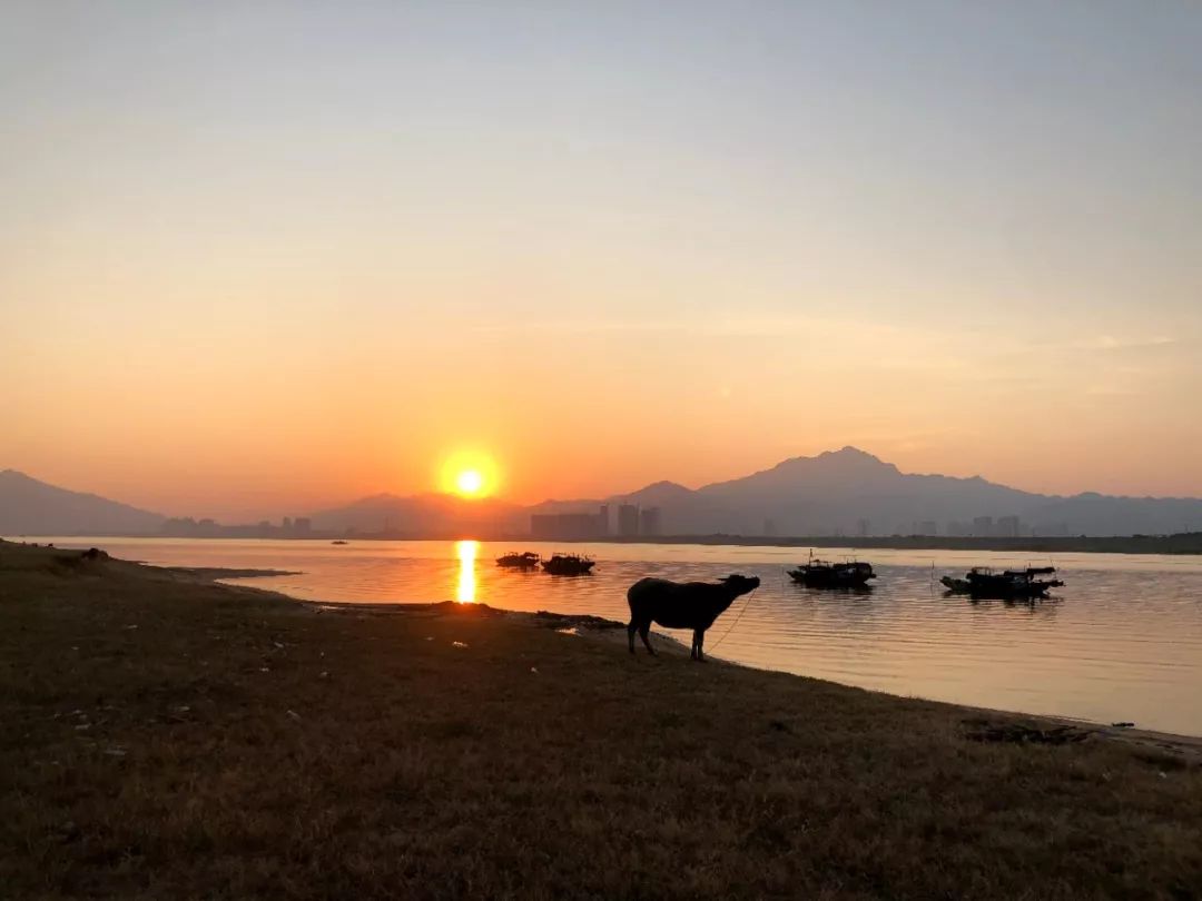肇庆砚洲岛热气球,鼎湖砚洲岛热气球