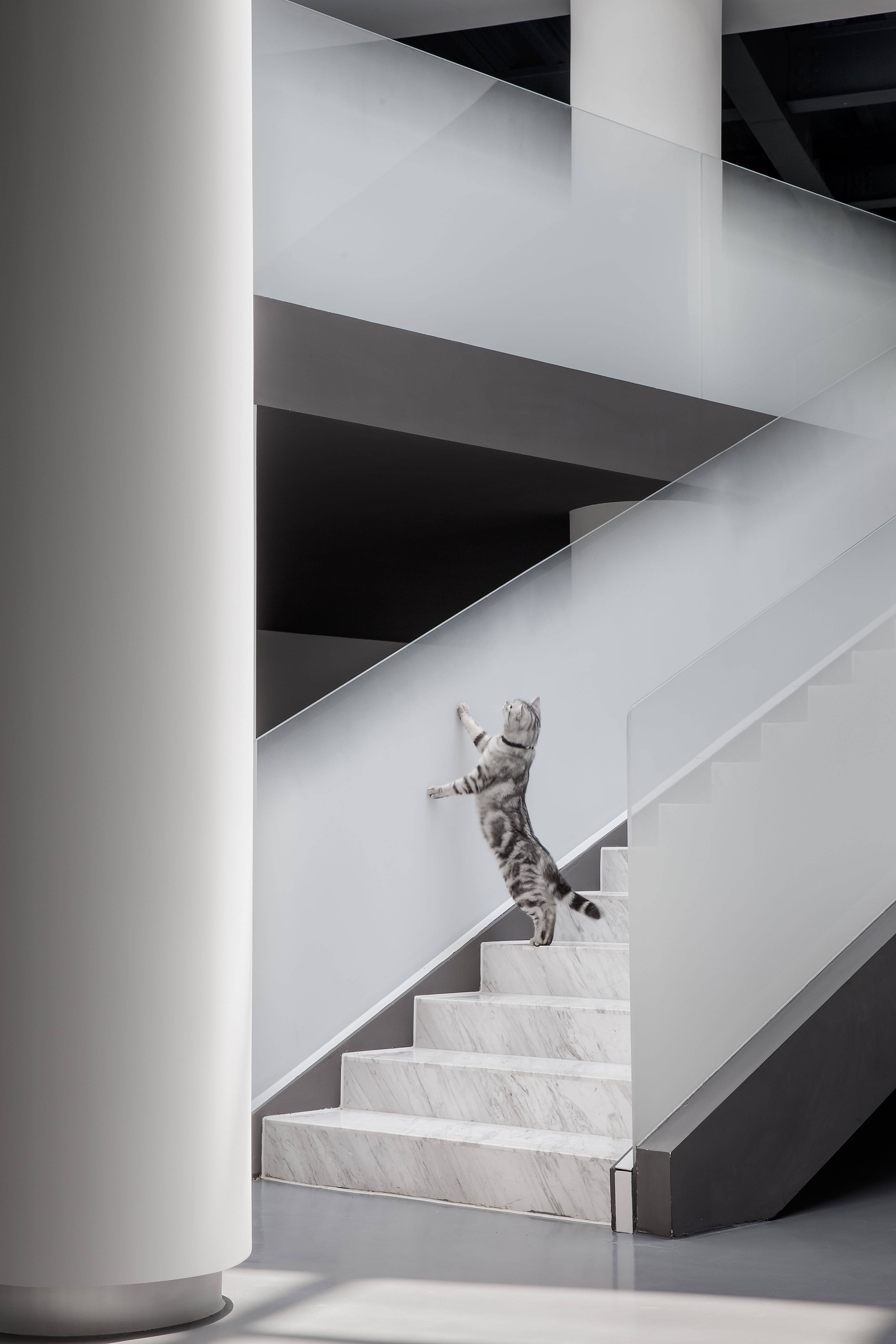 CUN寸DESIGN|静谧与光明——北京三区美术馆