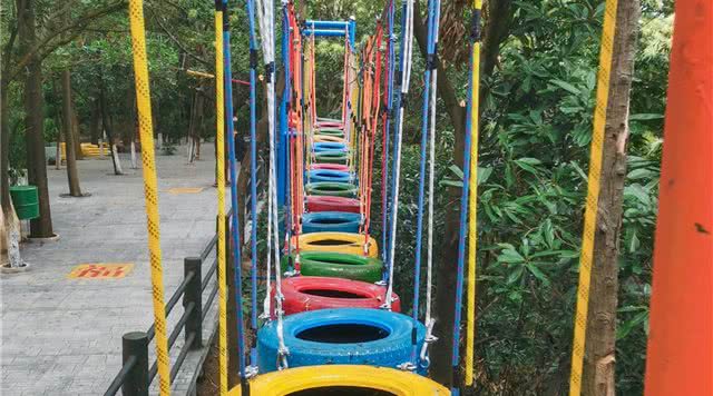 广东省内森林旅游景点,广东森林公园排行榜