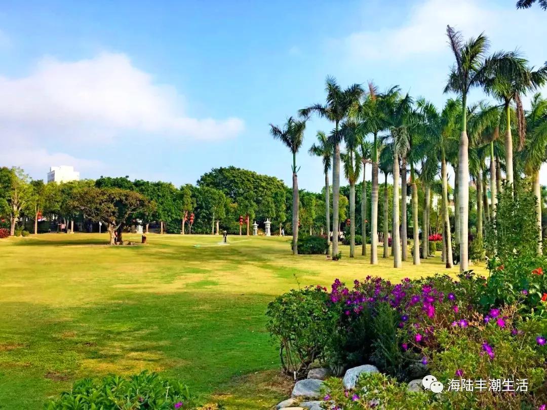 汕尾玄武山佛祖定位,汕尾玄武区