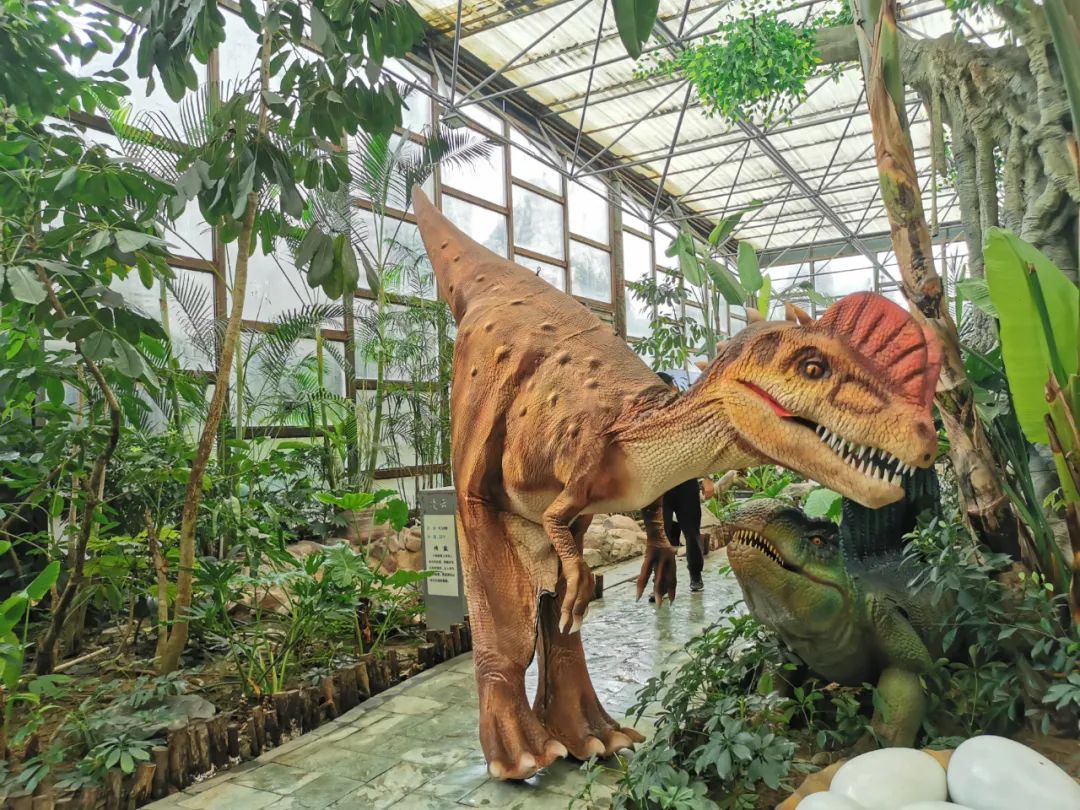 郑州泡温泉地方推荐最好的在哪儿,我们几乎走遍了大江南北