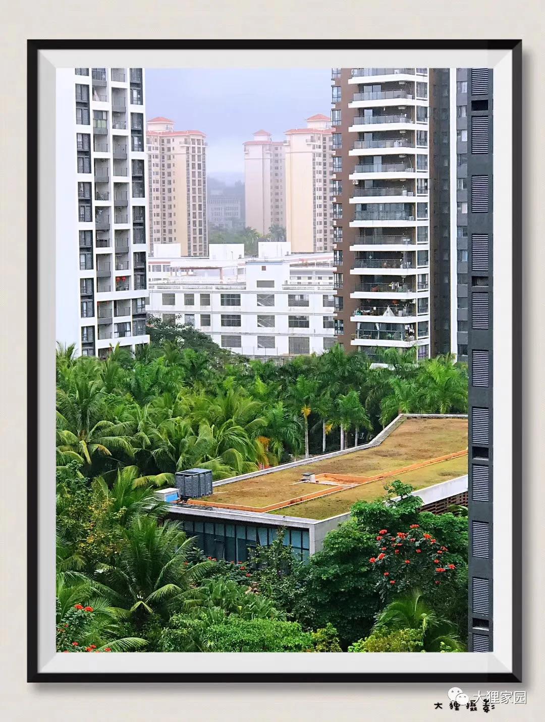 带娃的日子有滋有味,日子过得有滋有味广场舞