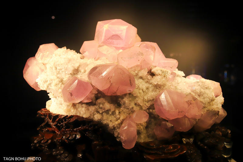 衢州飞越丛林探险乐园,浙江衢州深山