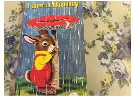 双语宝贝英语启蒙书推荐,亲子英文阅读书推荐