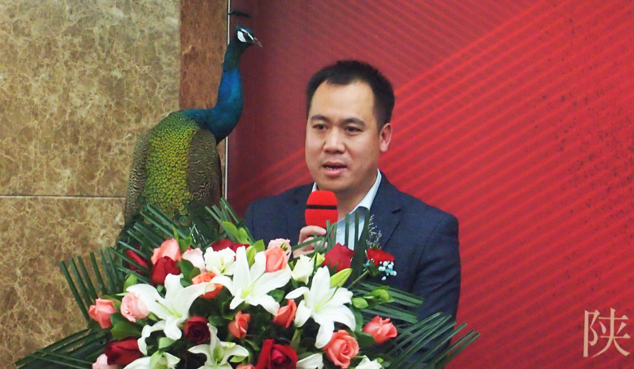 一农“气·象”陕西中青年画家2019迎新春作品展在西安隆重开幕！