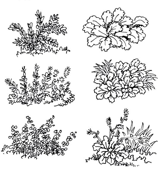 太行山速写风景临摹马克笔,风景速写临摹图片马克笔上色