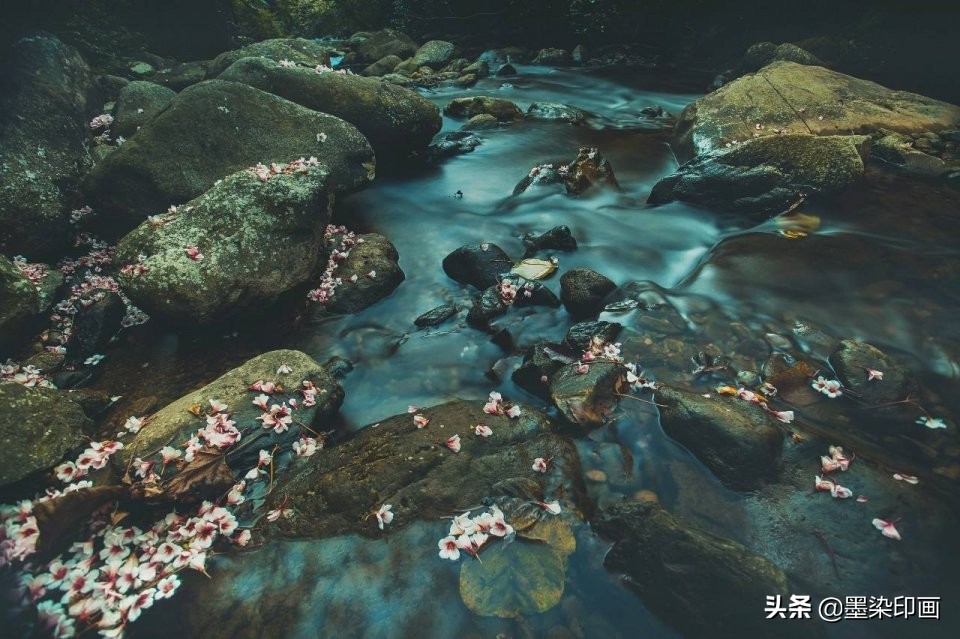 清明节拍摄风景图片,清明节全家踏青照片如何拍摄