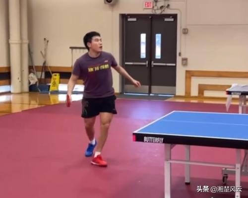 国乒热身赛樊振东孙颖莎,刘国梁对孙颖莎樊振东对比